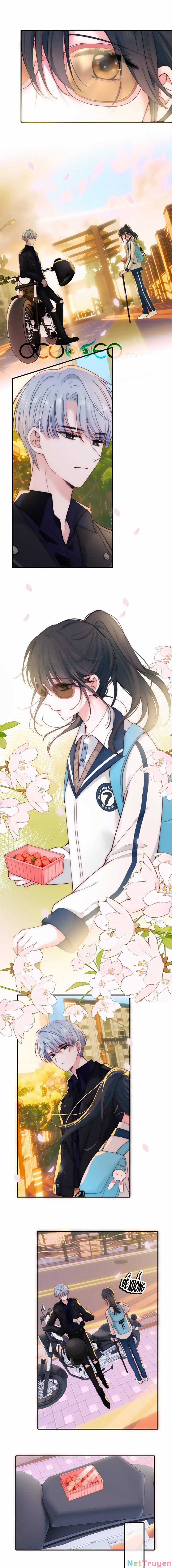 Vẫn Cứ Nuông Chiều Chapter 4 trang 7