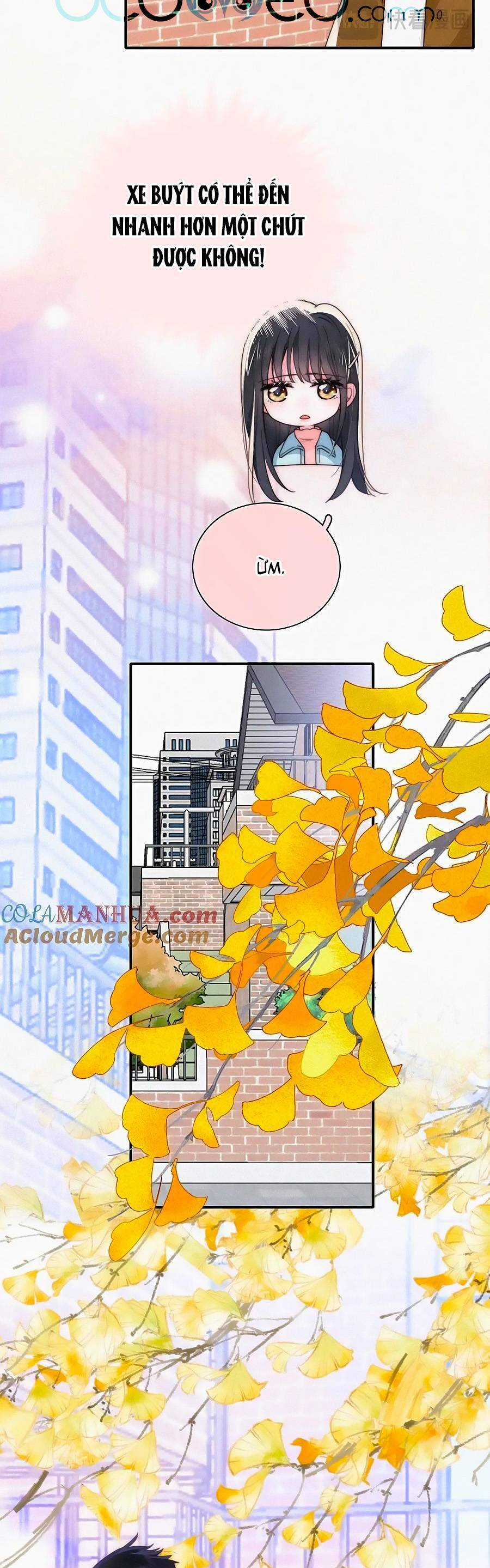 Vẫn Cứ Nuông Chiều Chapter 48 trang 13