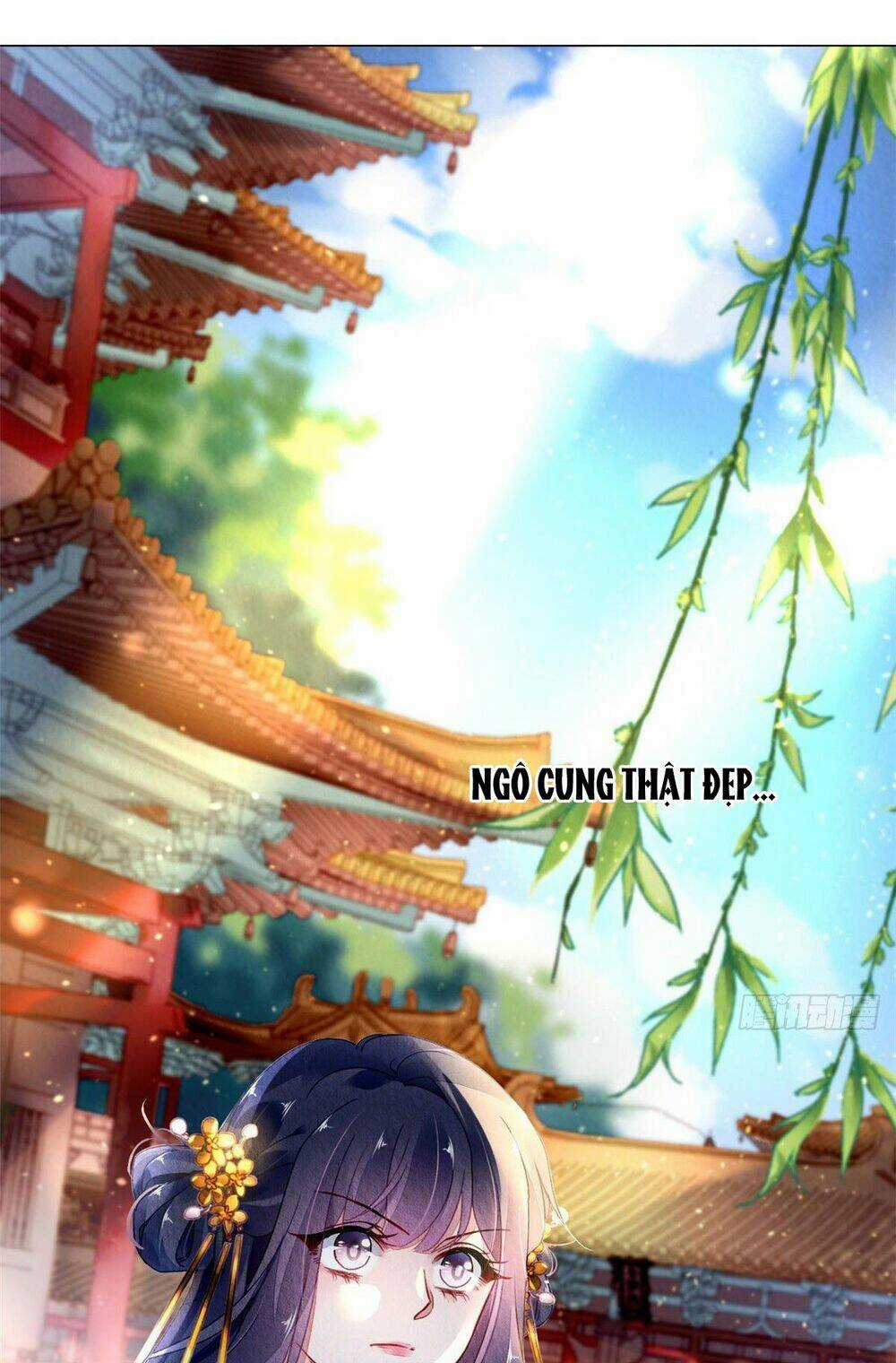 Vấn Đan Chu Chapter 13 trang 8