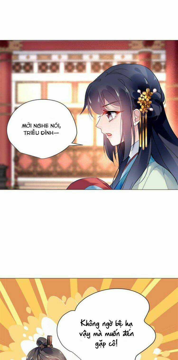 Vấn Đan Chu Chapter 17 trang 17