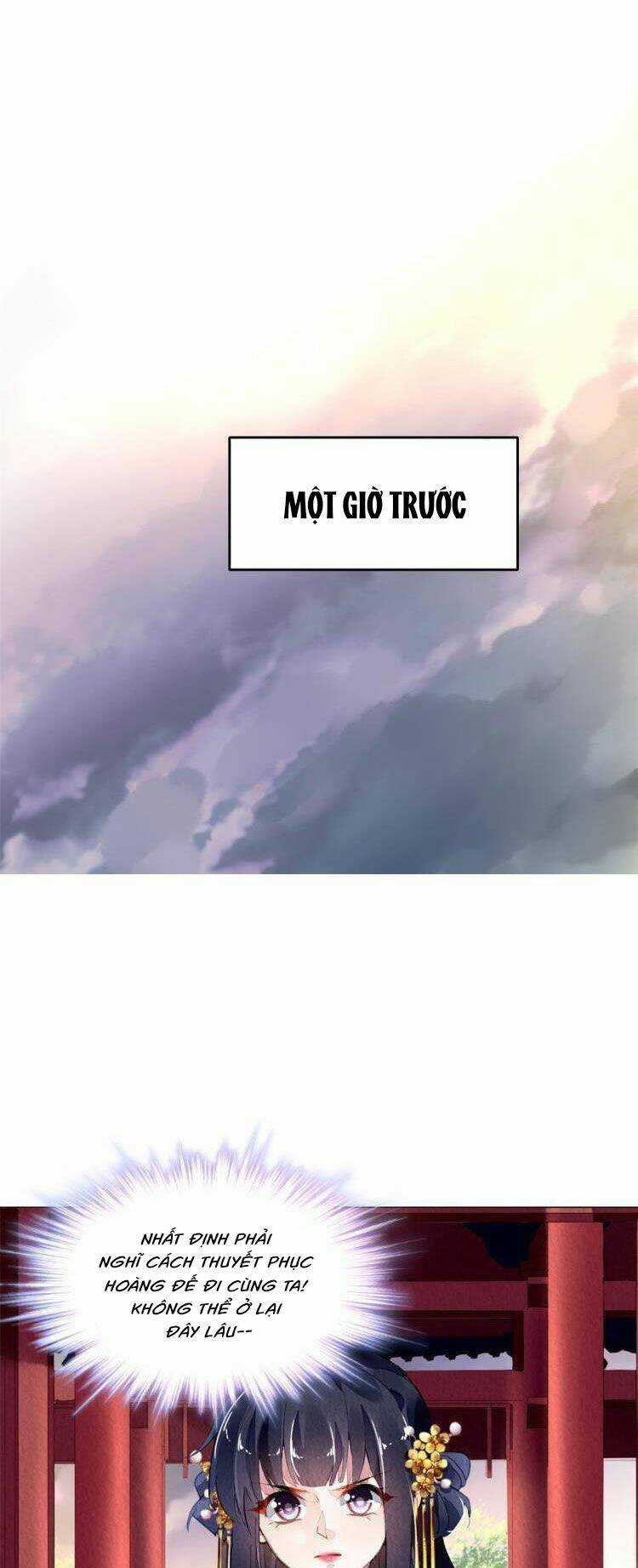 Vấn Đan Chu Chapter 32 trang 30