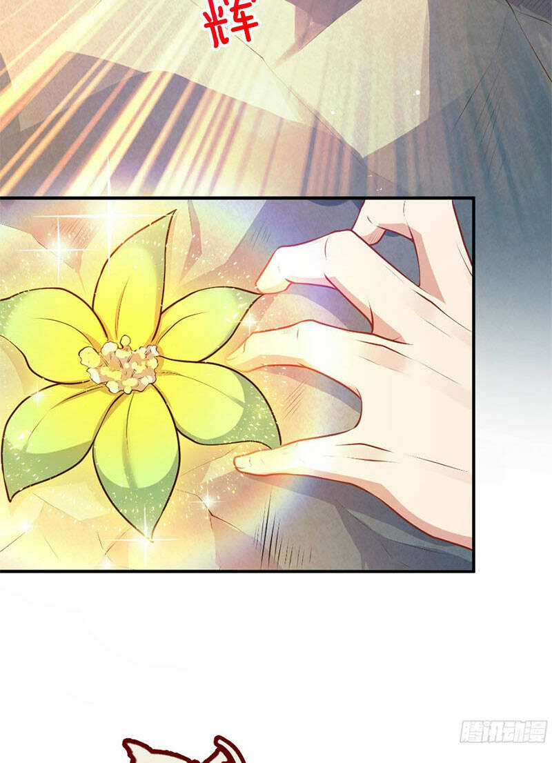 Vạn Đạo Chúa Tể Chapter 14 trang 40