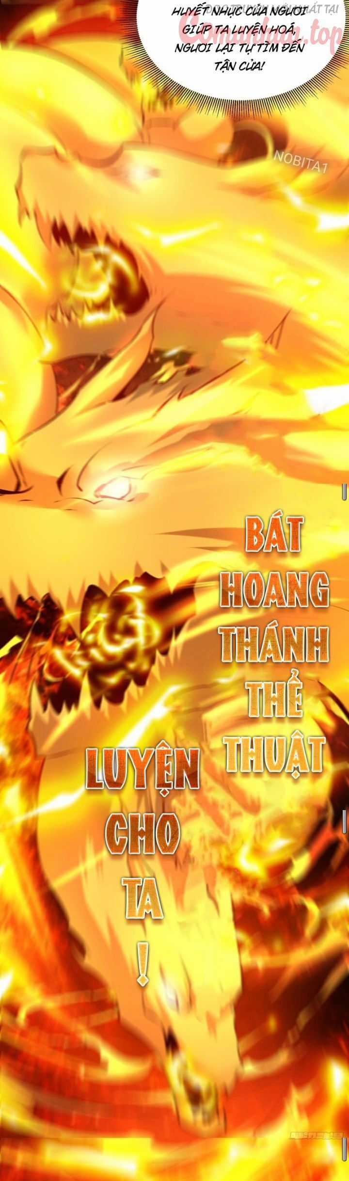 Vạn Đạo Chúa Tể Chapter 31 trang 11