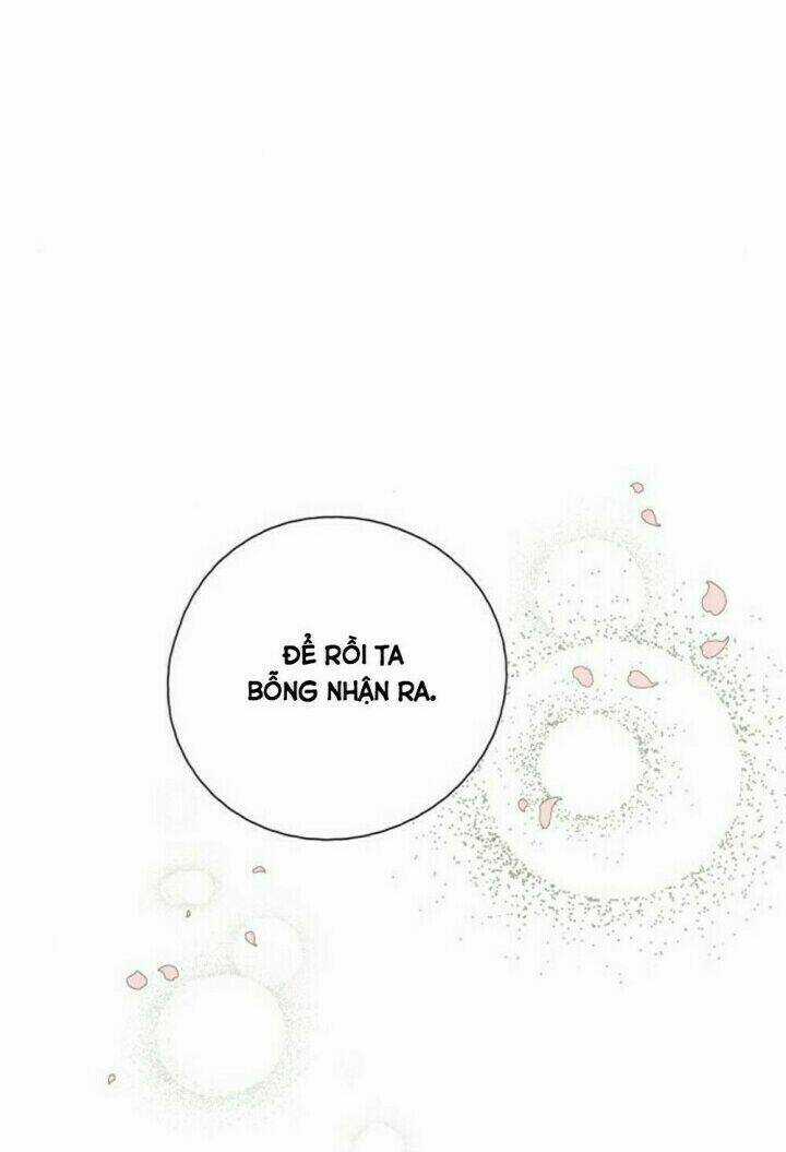 Vân Trung Hoa Chapter 126 trang 20