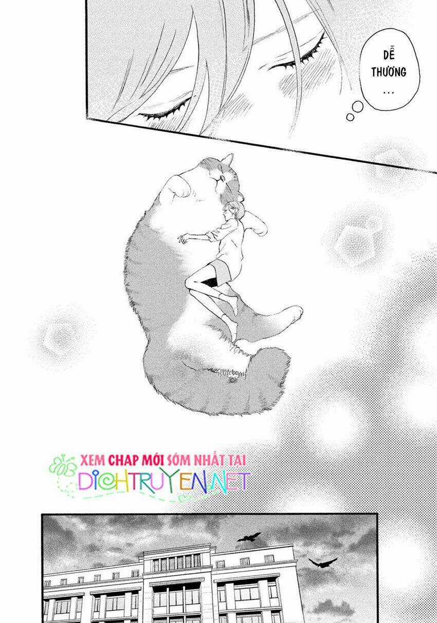 Vầng Trăng Chiều Rực Rỡ Chapter 4 trang 27