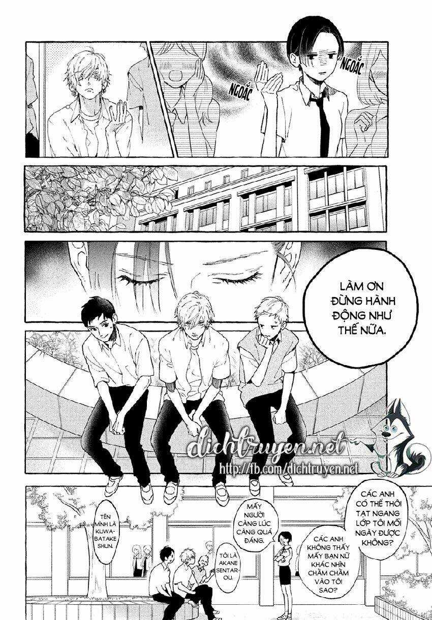 Vầng Trăng Chiều Rực Rỡ Chapter 5 trang 16