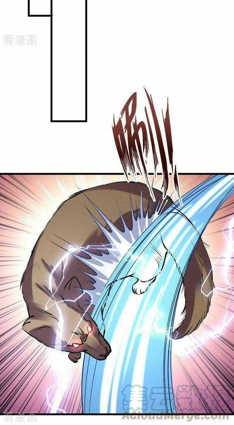 Vào Ngày Tận Thế Nhặt Được Hệ Thống Chapter 135 trang 5