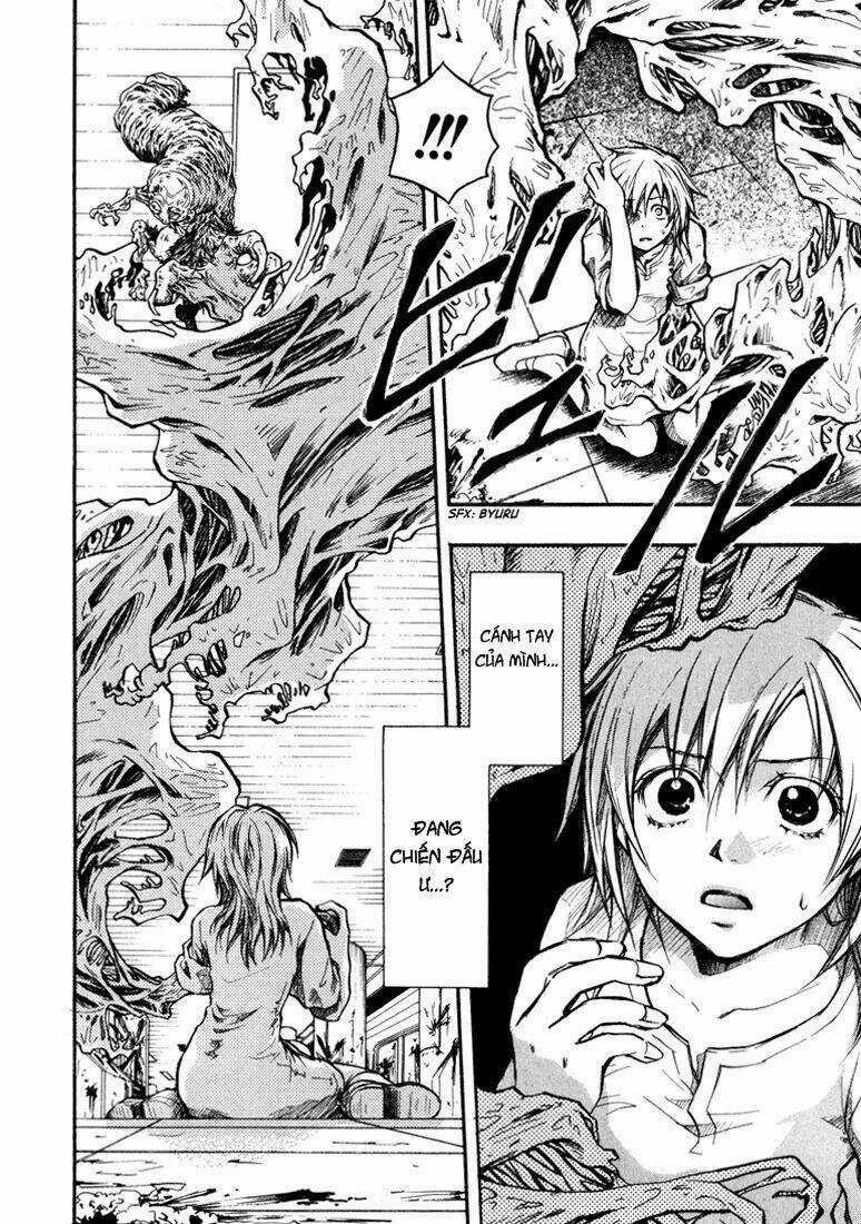 Variante Chapter 5 trang 23