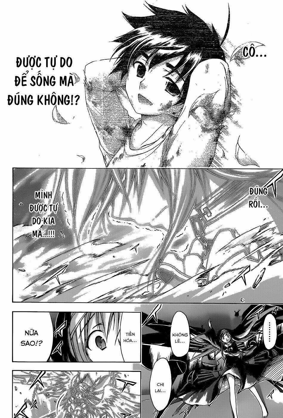 Vật Thất Lạc Của Bầu Trời Chapter 75 trang 29