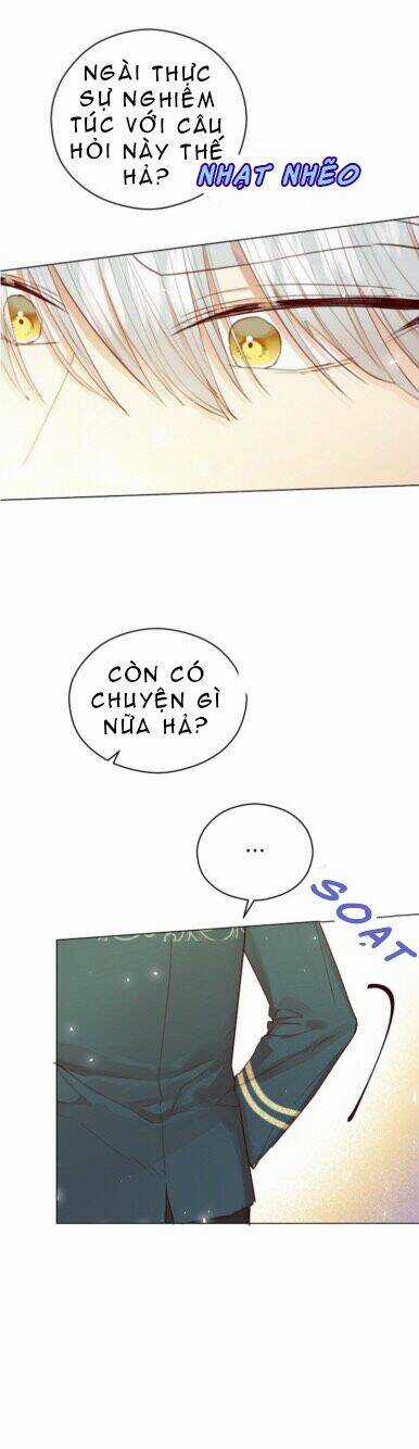 Vẻ Đẹp Của Ác Ma Chapter 17 trang 5