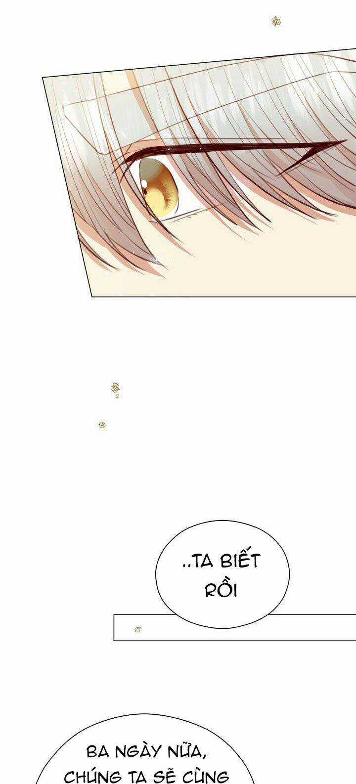 Vẻ Đẹp Của Ác Ma Chapter 26 trang 13