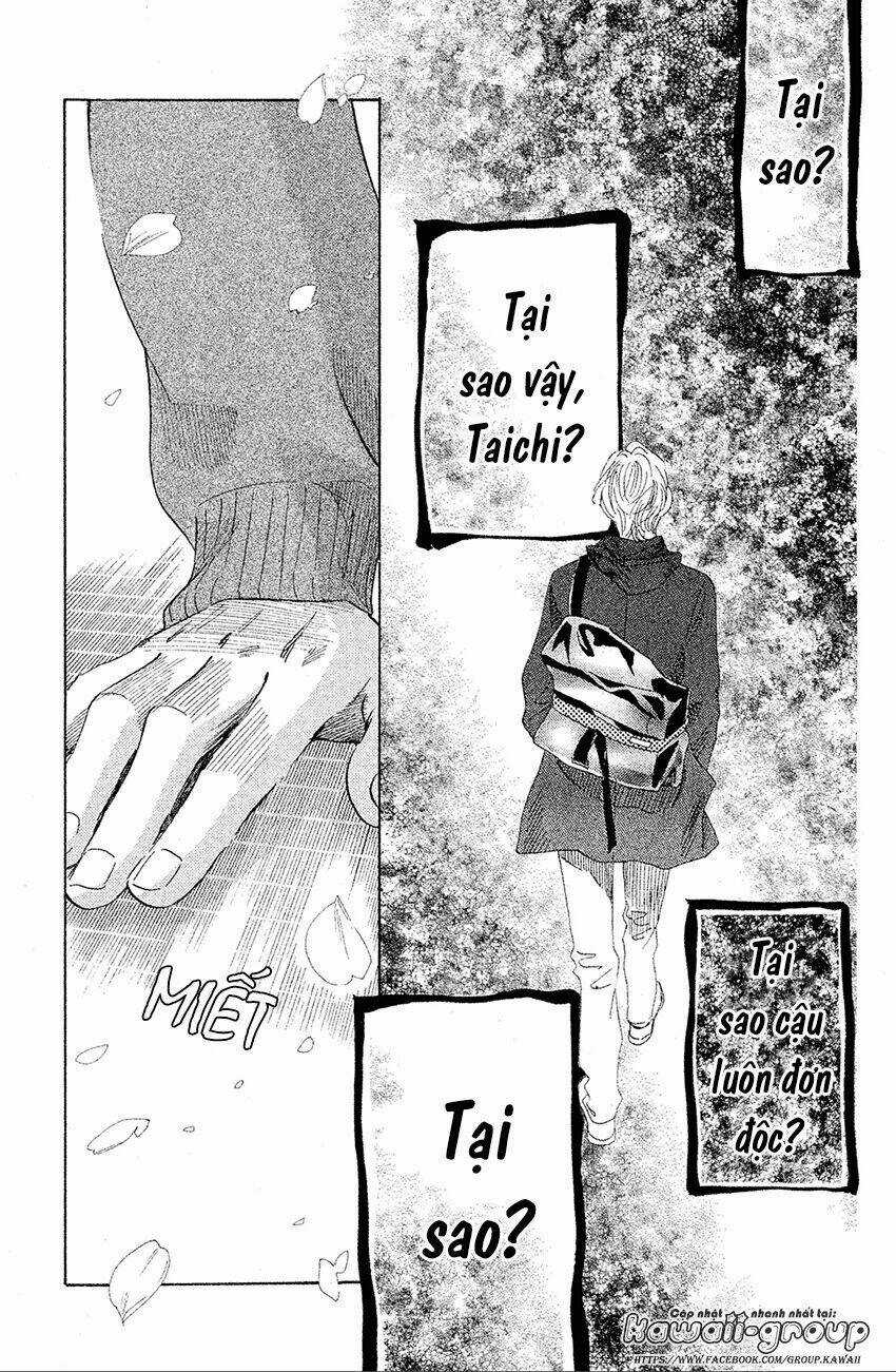 Vẻ Đẹp Qua Những Lá Bài Chapter 138 trang 4