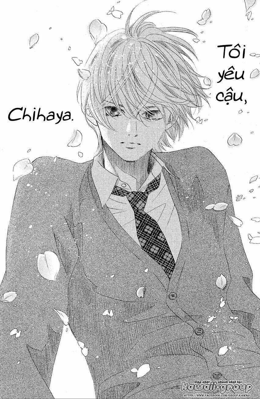 Vẻ Đẹp Qua Những Lá Bài Chapter 138 trang 5