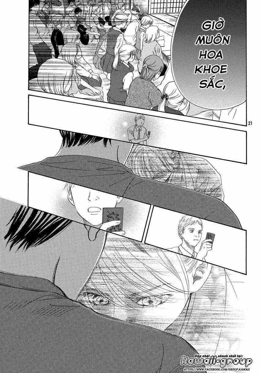 Vẻ Đẹp Qua Những Lá Bài Chapter 150 trang 22