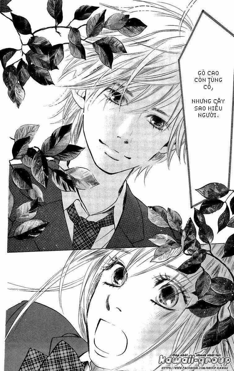 Vẻ Đẹp Qua Những Lá Bài Chapter 7 trang 12