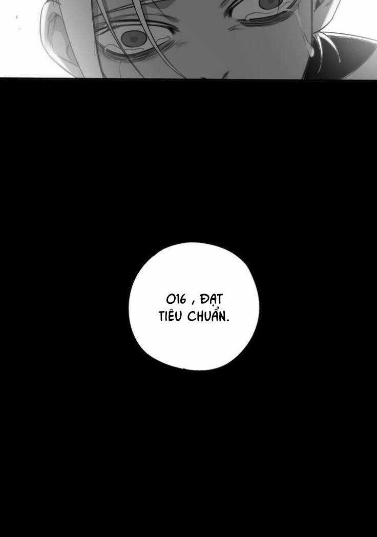 Vệ Sĩ Của Tôi Cao 1 Mét 28 Chapter 11 trang 5