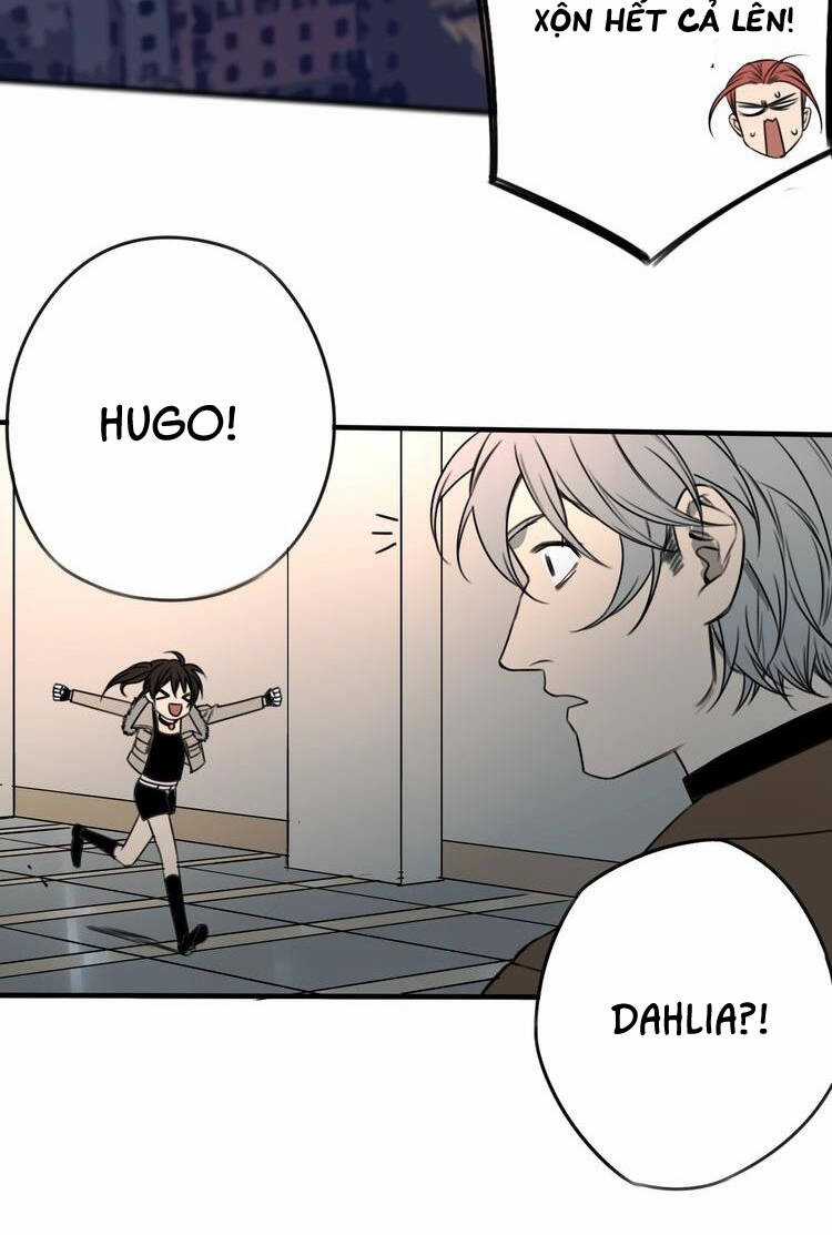 Vệ Sĩ Của Tôi Cao 1 Mét 28 Chapter 38 trang 16