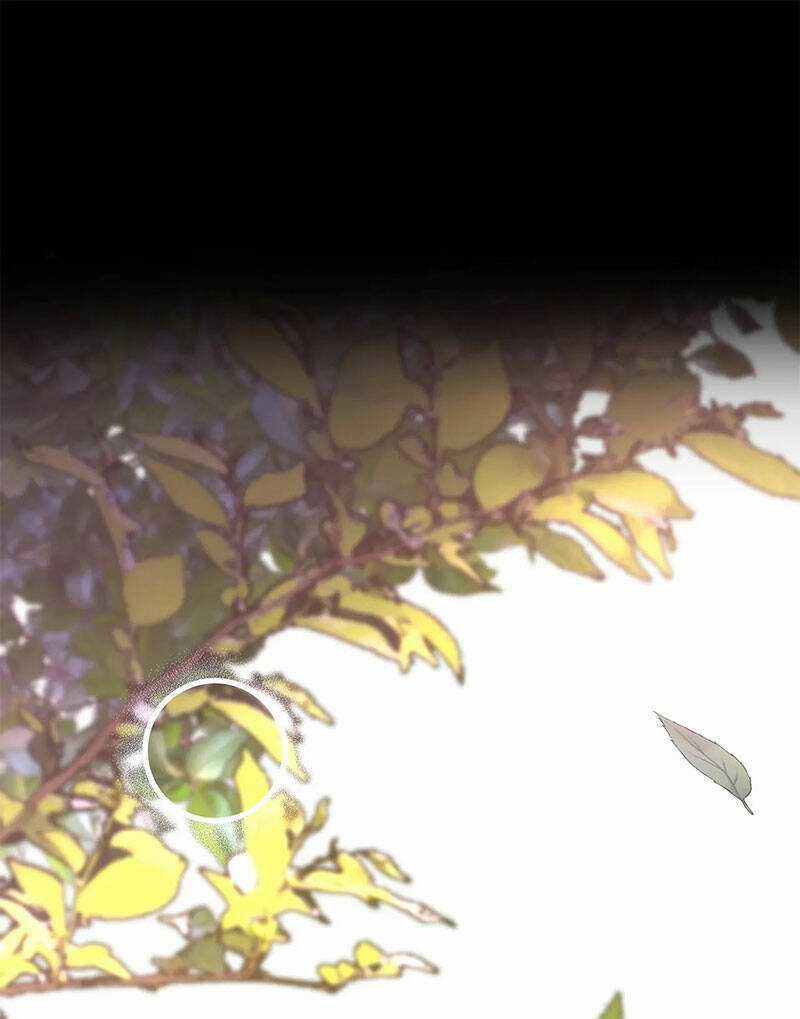 Vết Trăng Chương 8.2 trang 46