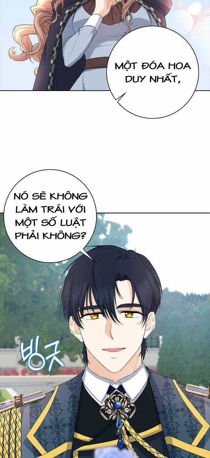 Vị Bạo Chúa Của Tôi Sao Lại Hóa Trẻ Rồi Chapter 14 trang 40