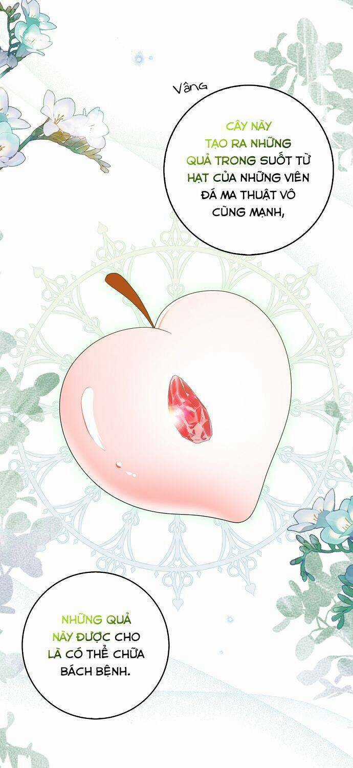 Vị Bạo Chúa Của Tôi Sao Lại Hóa Trẻ Rồi Chapter 26 trang 8