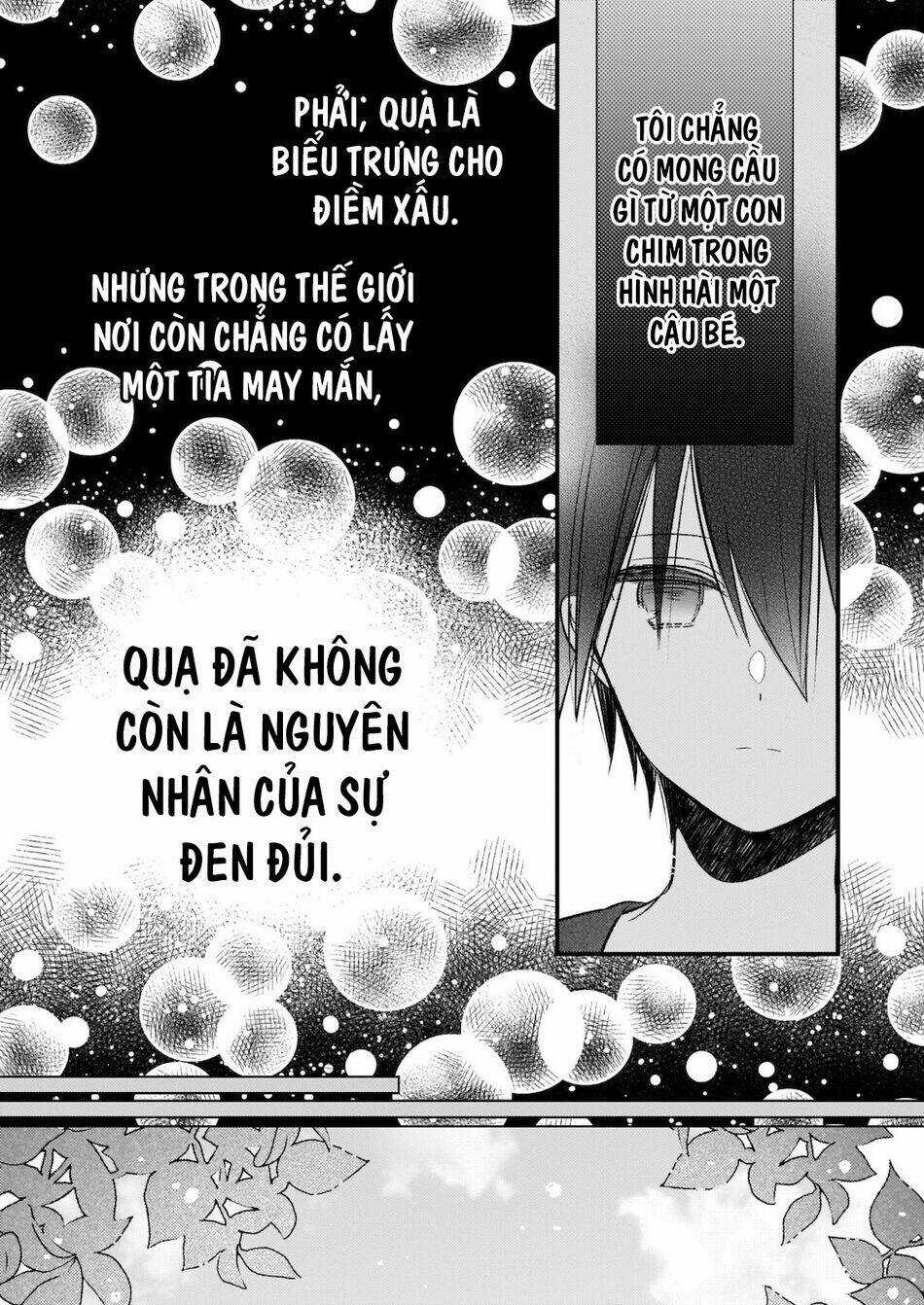 Vị Hôn Phu Của Tôi Đã Rơi Vào Lưới Tình Với Em Gái Chapter 11 trang 12