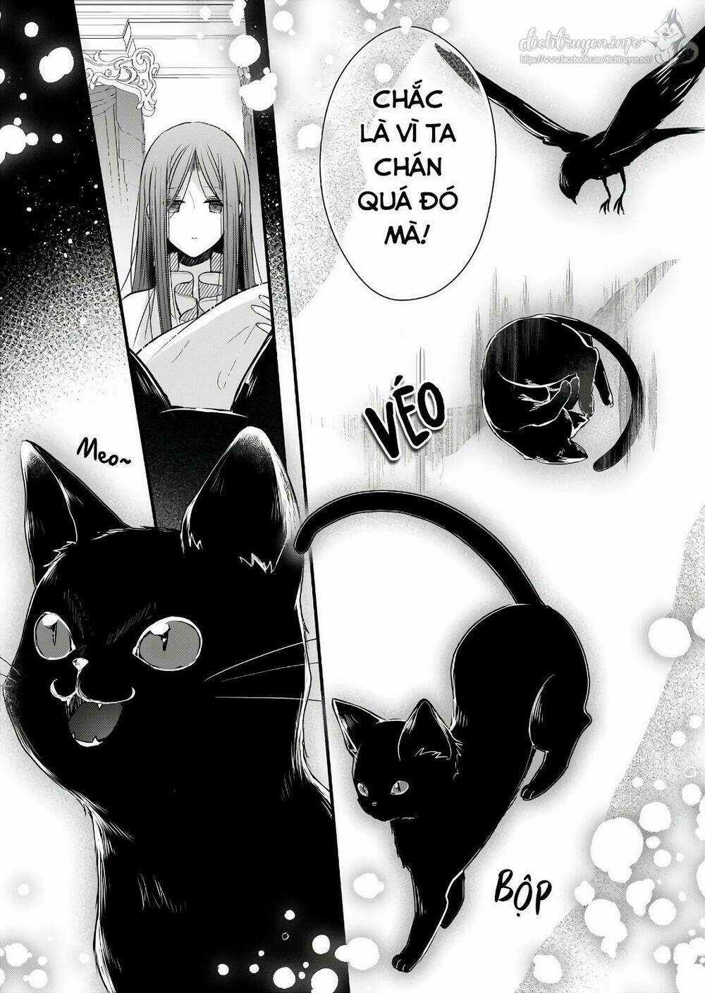 Vị Hôn Phu Của Tôi Đã Rơi Vào Lưới Tình Với Em Gái Chapter 6 trang 6