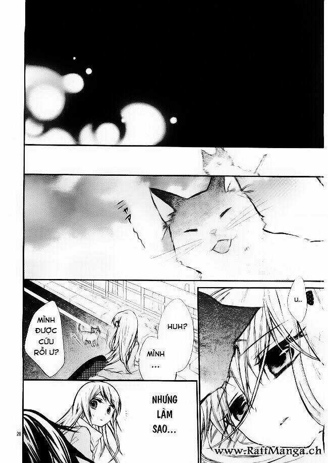 Vị Hôn Phu Kém Tuổi Chapter 9 trang 19