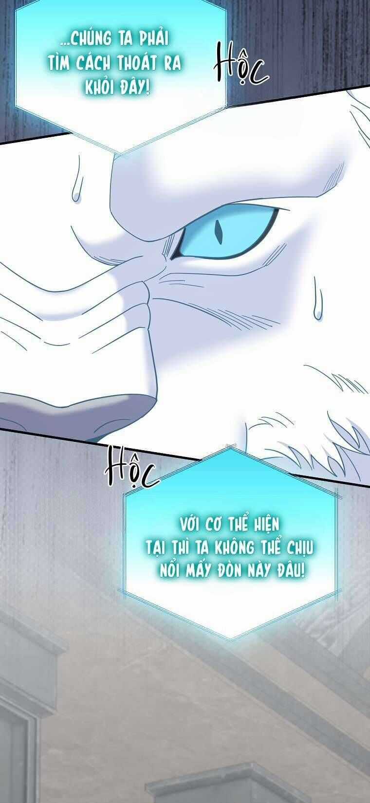 Vị Hôn Phu Phản Diện Cản Trở Con Đường Hoa Của Tôi Chương 68 trang 50