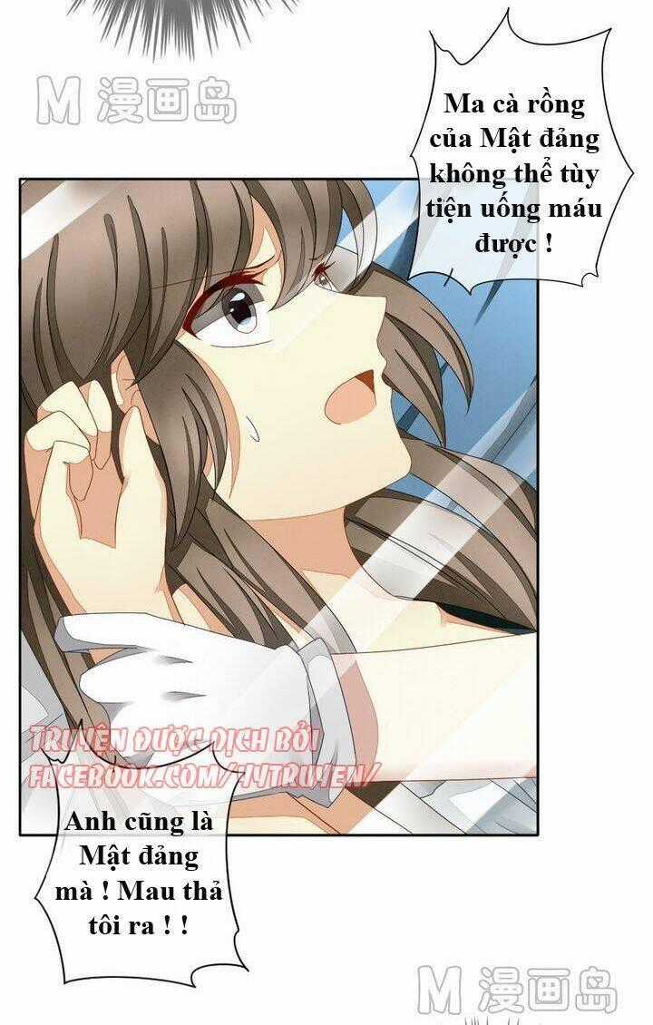 Vị Hôn Thê Bỏ Trốn Chapter 28 trang 1