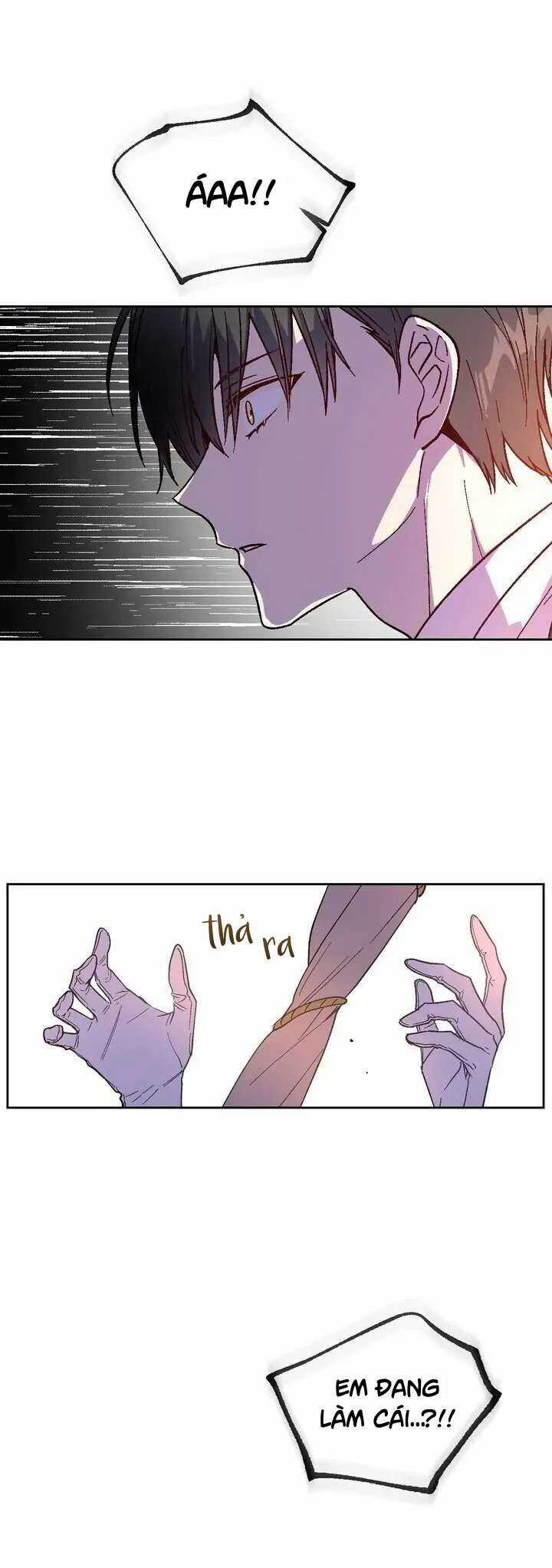 Vị Hôn Thê Khế Ước Của Công Tước Chapter 117 trang 27