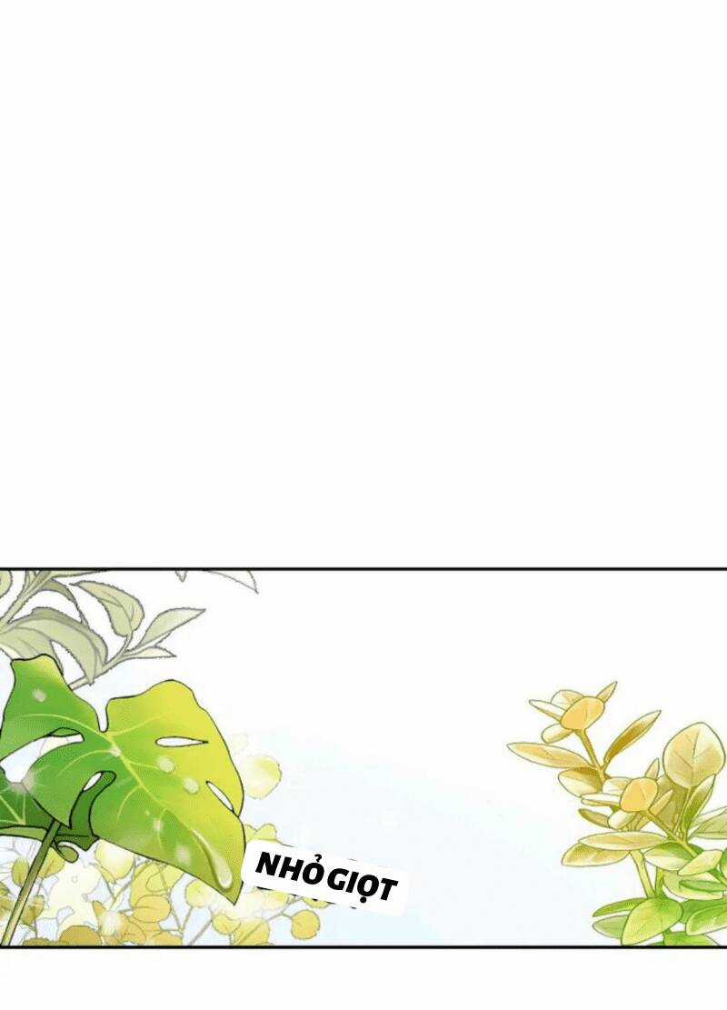 Vị Khách Đặc Biệt Của Tôi Chapter 5 trang 28