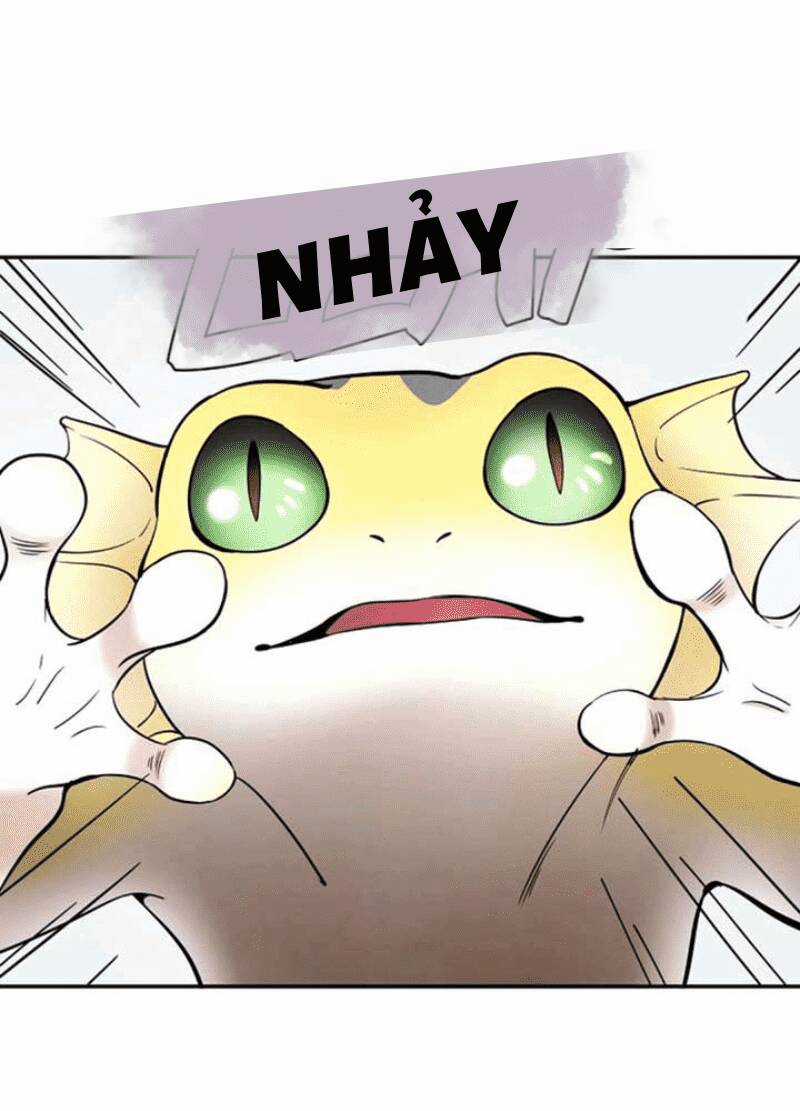 Vị Khách Đặc Biệt Của Tôi Chapter 6 trang 62