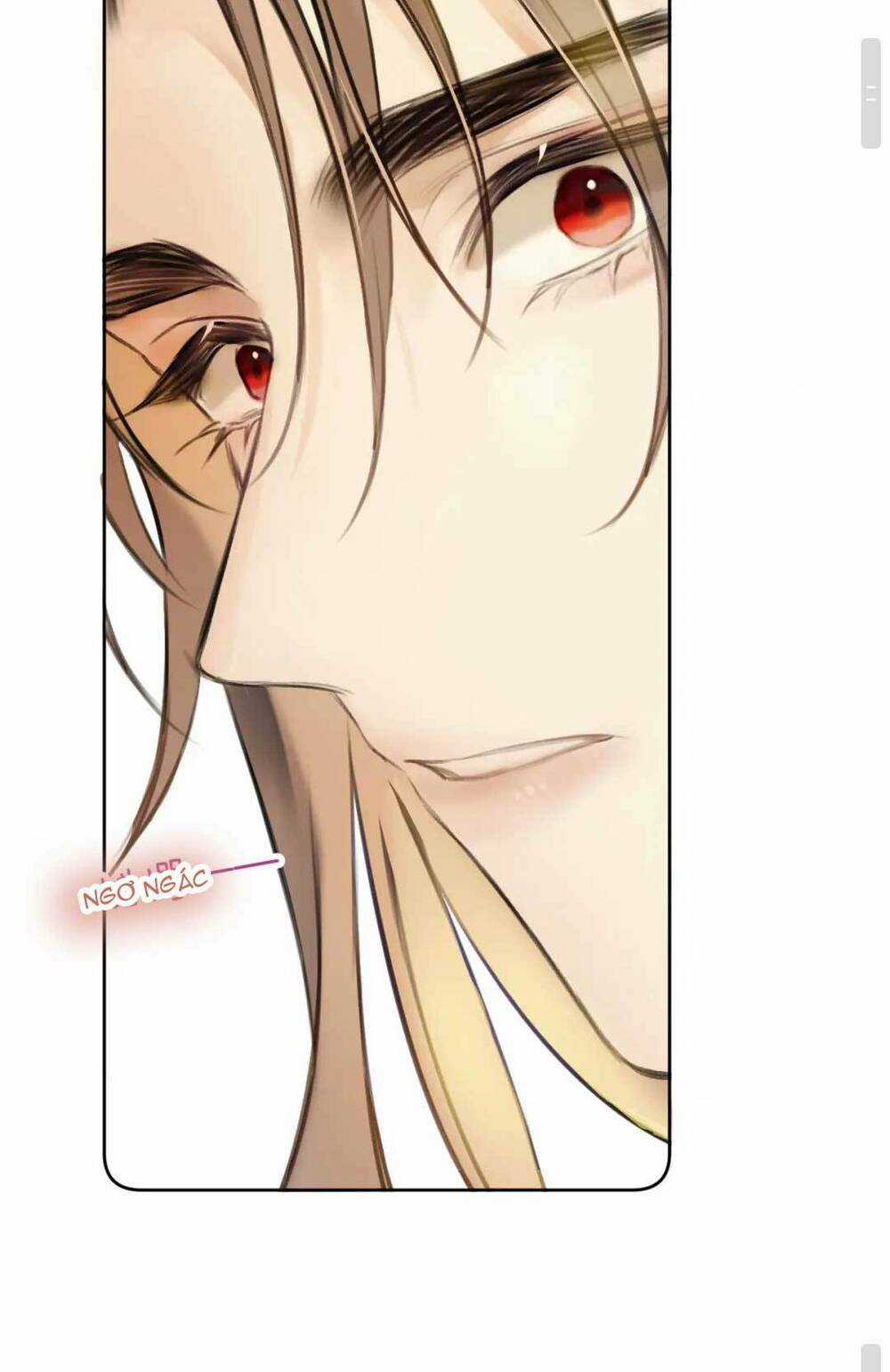 Vi Phu Của Ta Là Long Ngạo Thiên Phần 2 Chapter 3 trang 21