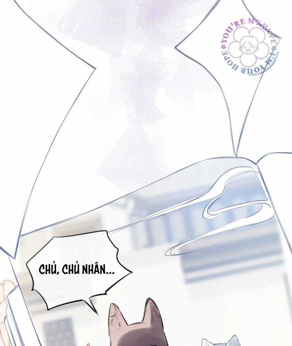 Vi Phu Của Ta Là Long Ngạo Thiên Chapter 32 trang 11