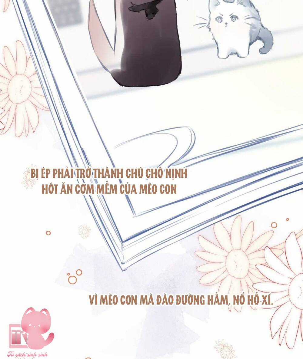 Vi Phu Của Ta Là Long Ngạo Thiên Chapter 32 trang 12