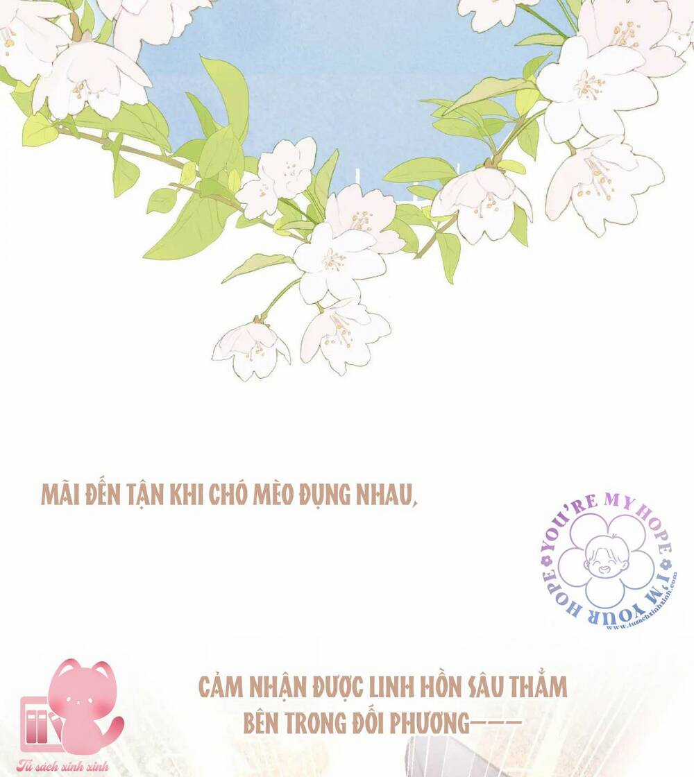 Vi Phu Của Ta Là Long Ngạo Thiên Chapter 32 trang 15