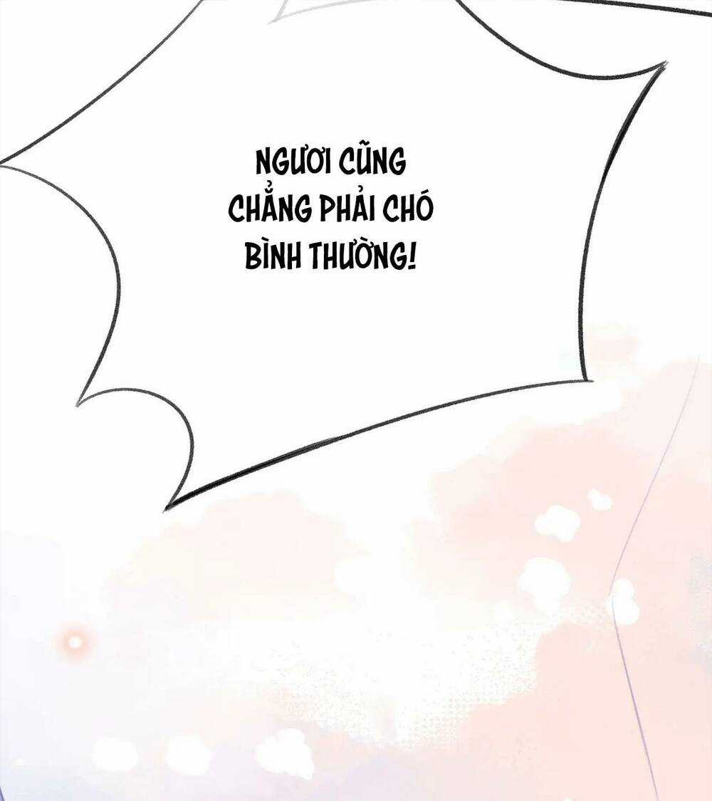Vi Phu Của Ta Là Long Ngạo Thiên Chapter 32 trang 17