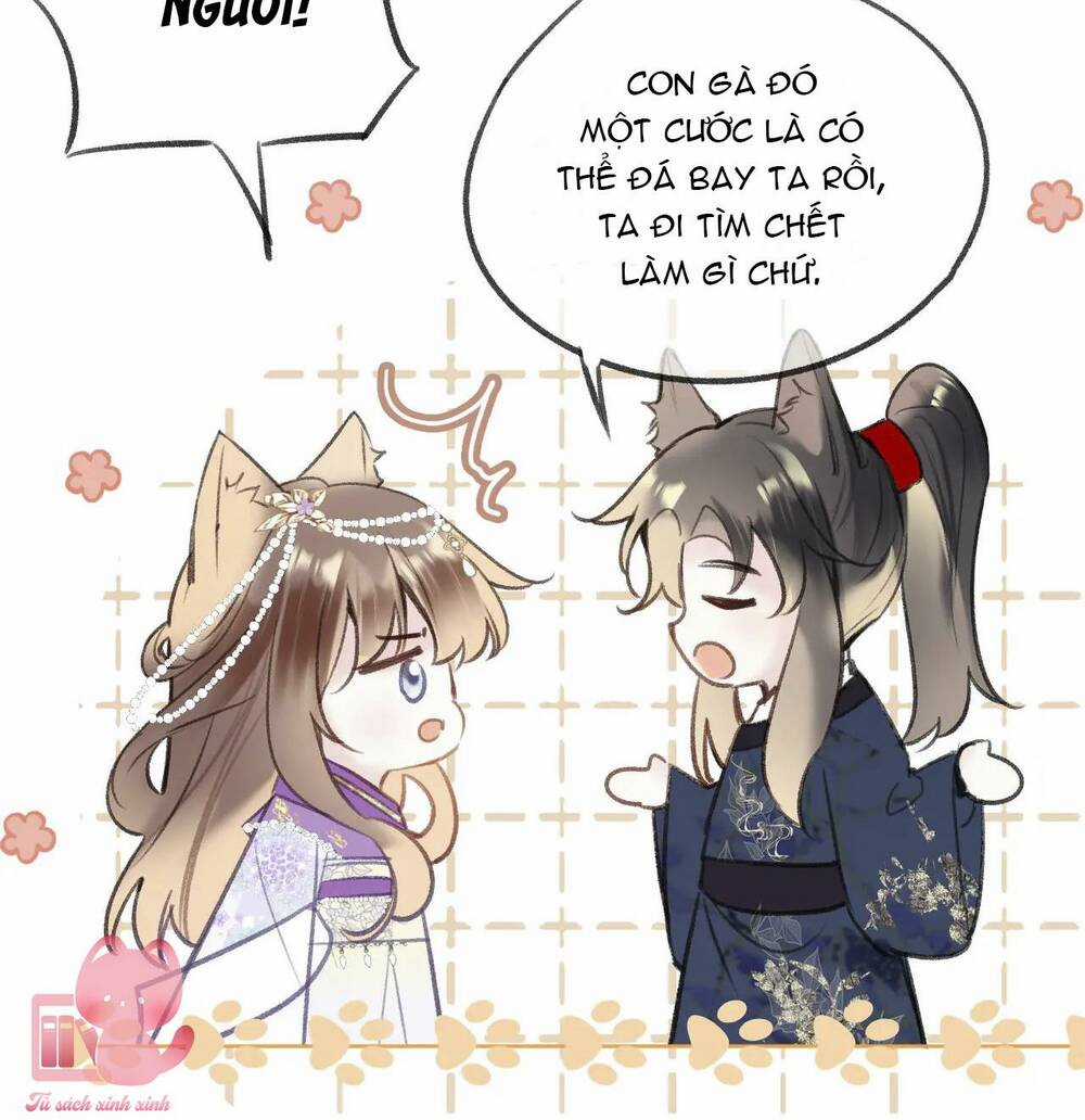 Vi Phu Của Ta Là Long Ngạo Thiên Chapter 40 trang 16