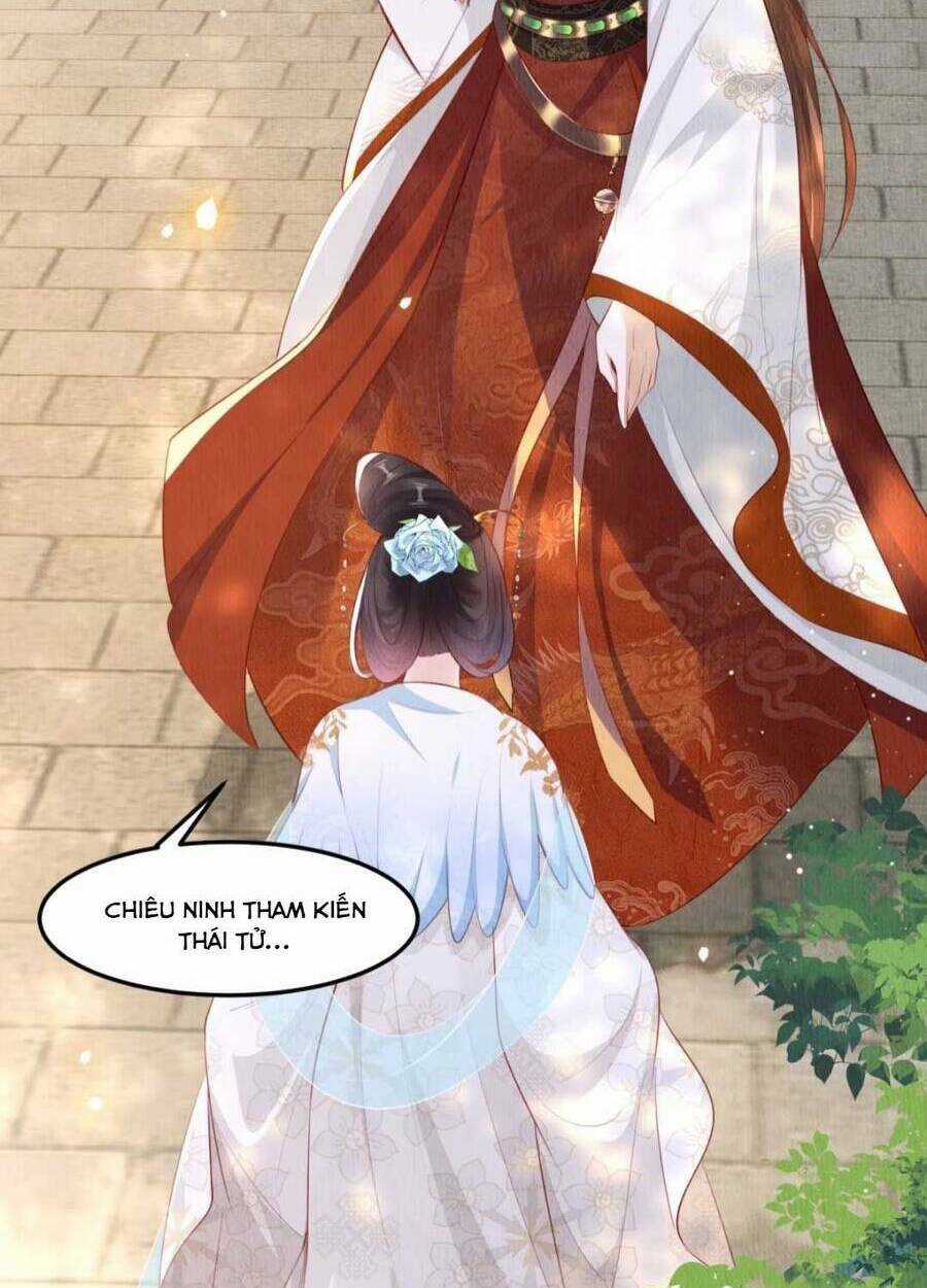 Vì Ta Trăm Hoa Cũng Phải Úa Tàn Chapter 19 trang 11