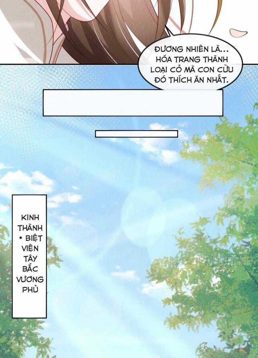 Vì Ta Trăm Hoa Cũng Phải Úa Tàn Chapter 20 trang 17