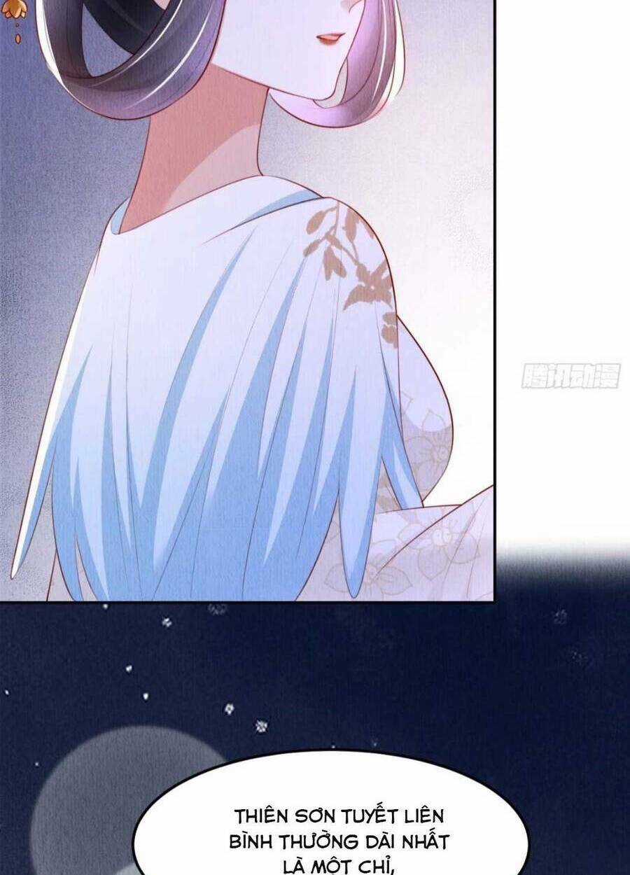 Vì Ta Trăm Hoa Cũng Phải Úa Tàn Chapter 24 trang 7