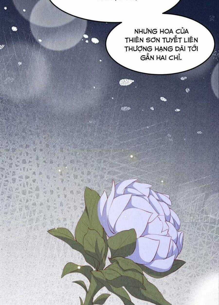 Vì Ta Trăm Hoa Cũng Phải Úa Tàn Chapter 24 trang 8