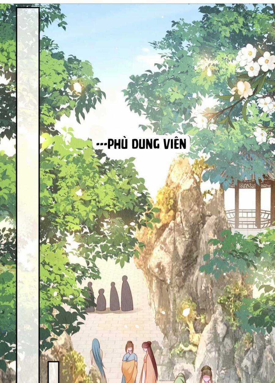 Vì Ta Trăm Hoa Cũng Phải Úa Tàn Chapter 26 trang 1