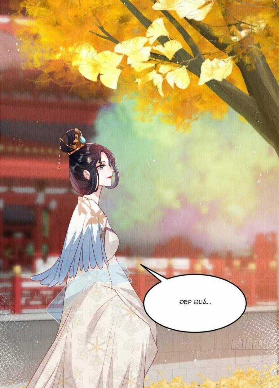 Vì Ta Trăm Hoa Cũng Phải Úa Tàn Chapter 40 trang 28