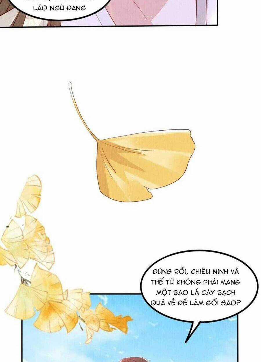 Vì Ta Trăm Hoa Cũng Phải Úa Tàn Chapter 41 trang 43