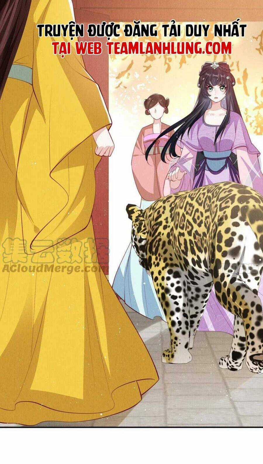 Vì Ta Trăm Hoa Cũng Phải Úa Tàn Chapter 41 trang 5