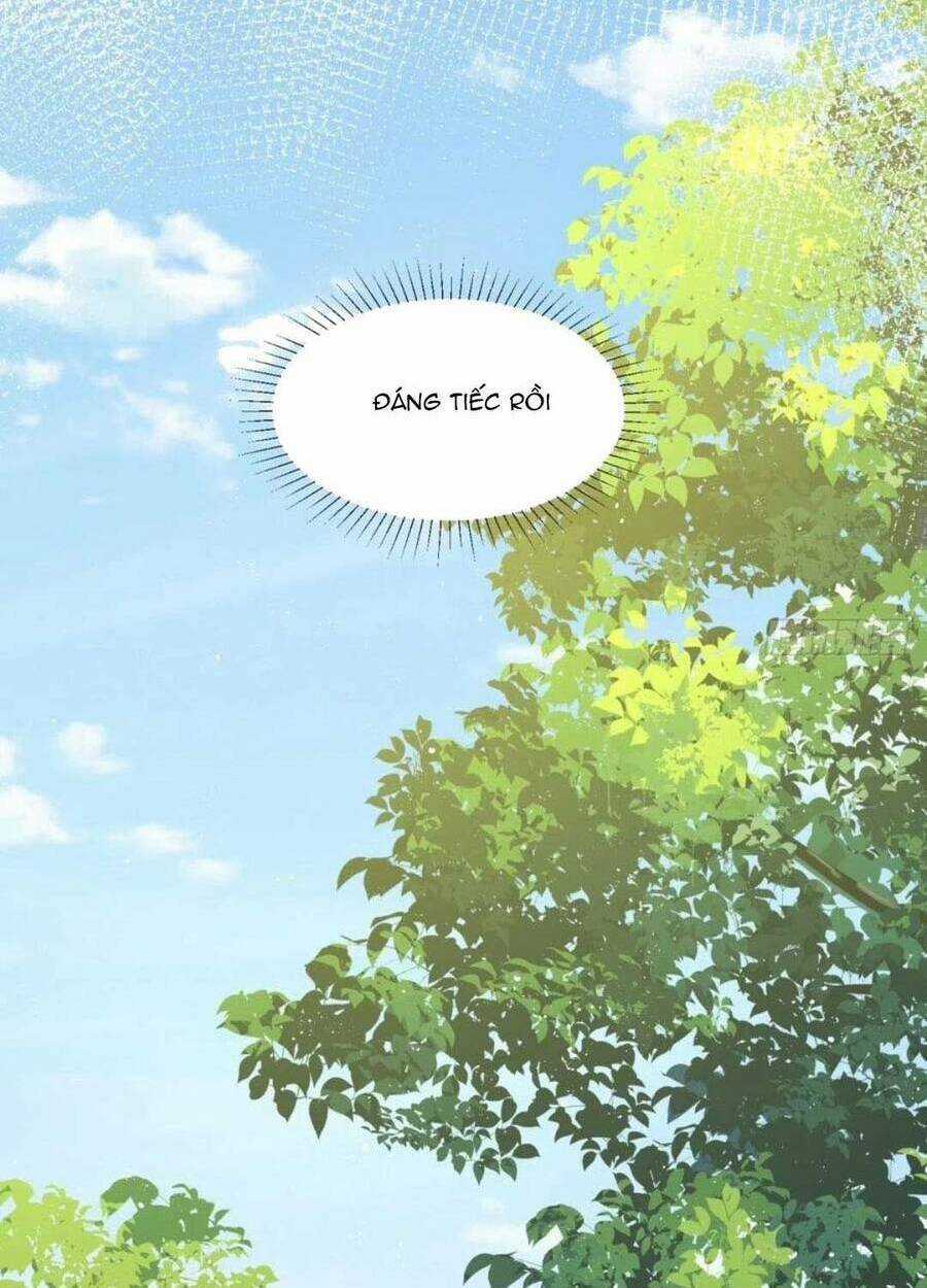 Vì Ta Trăm Hoa Cũng Phải Úa Tàn Chapter 42 trang 23