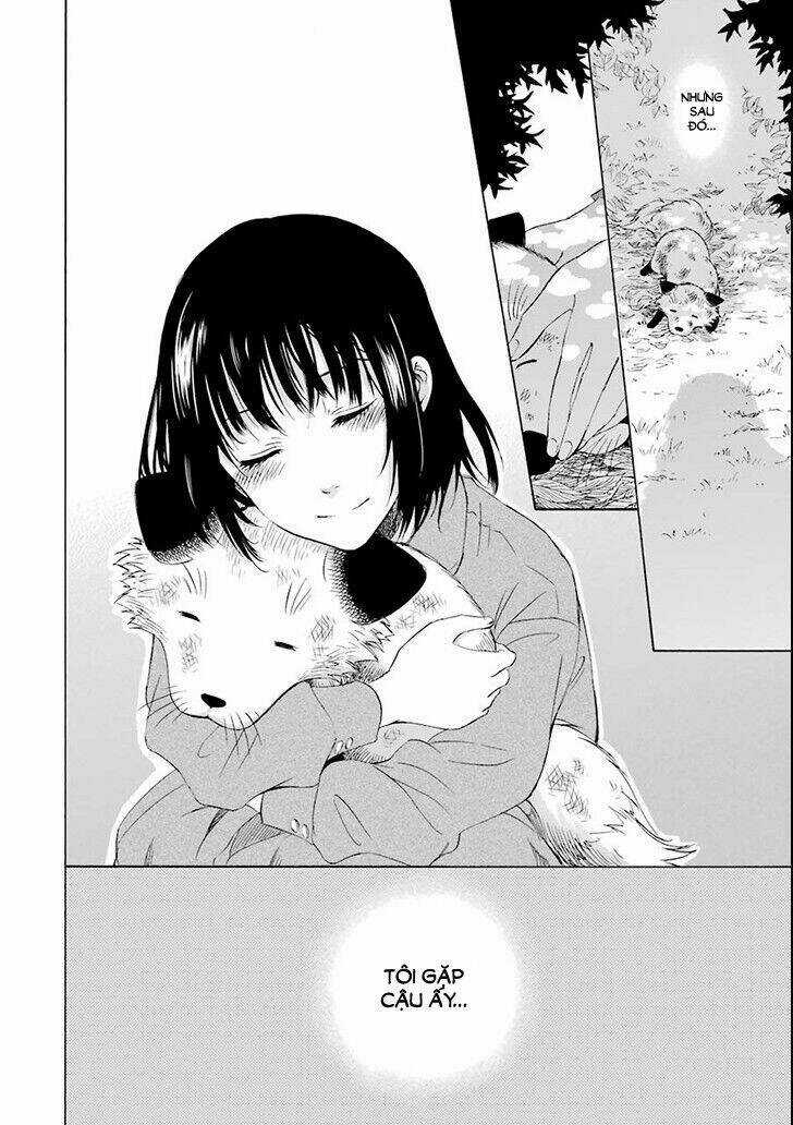 Vị Thần Ma Cà Rồng Chapter 2 trang 11