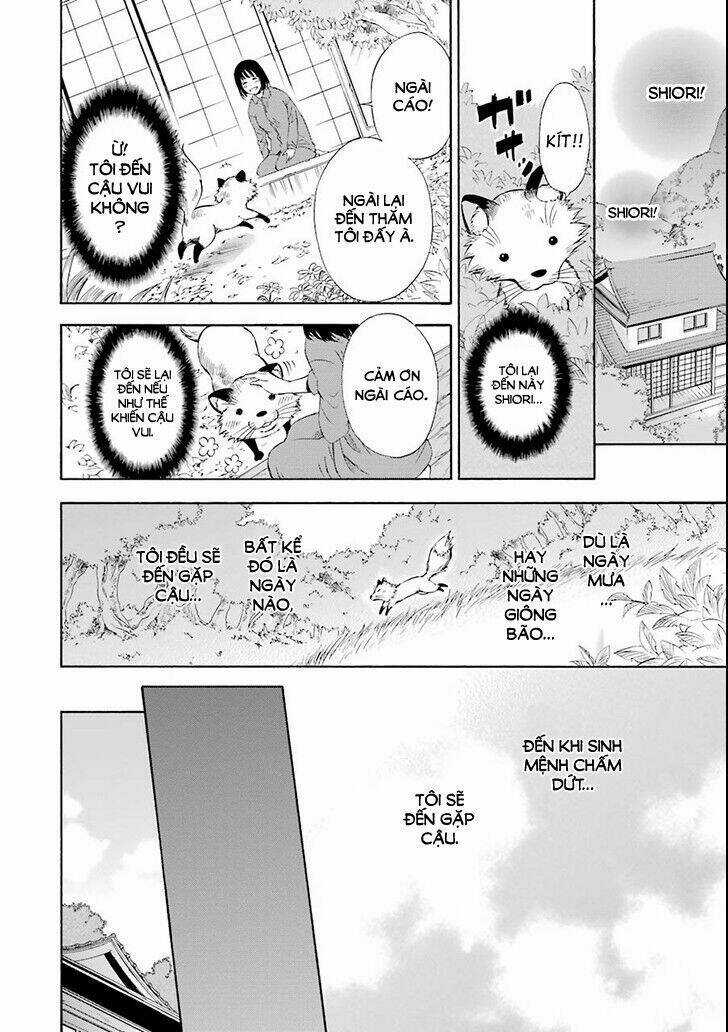 Vị Thần Ma Cà Rồng Chapter 2 trang 13