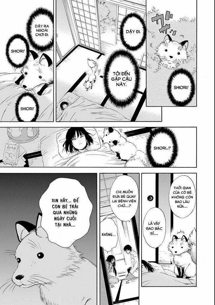 Vị Thần Ma Cà Rồng Chapter 2 trang 14